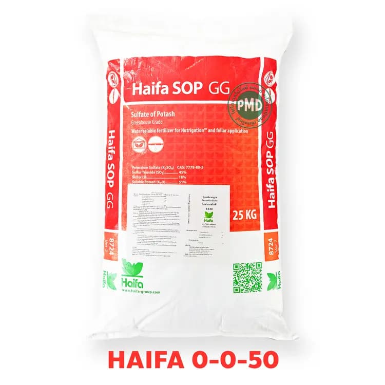 Haifa SOP™ GG