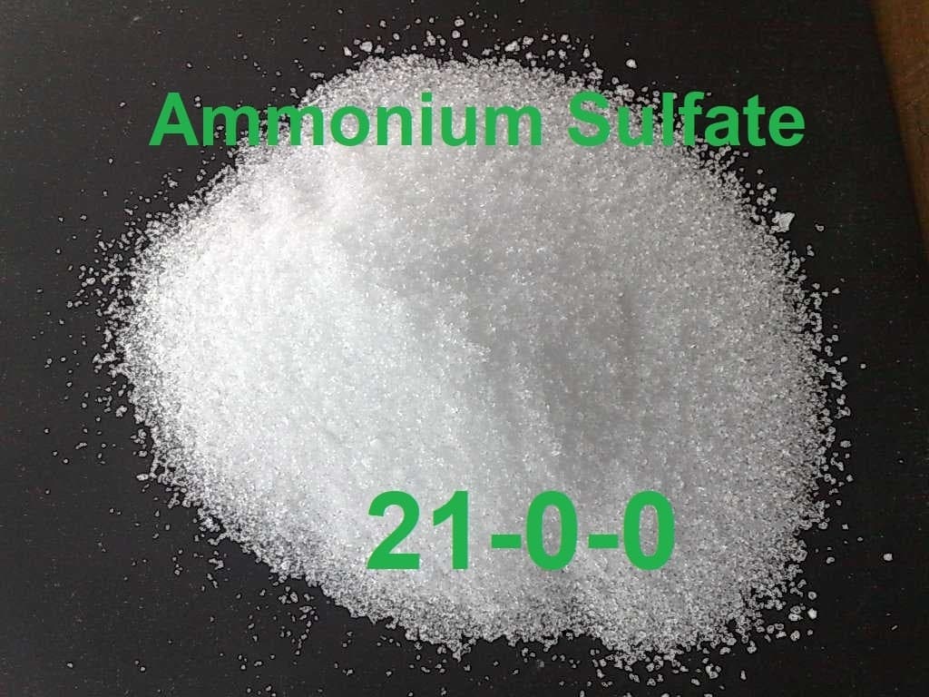Ammonium Sulfate